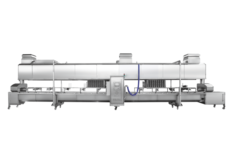 ����ʽ������